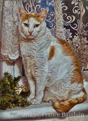 Alfie adult - 62 hours
Grey Colourful Smooth
16.5" x 12"
Ref: Lesley Boulter